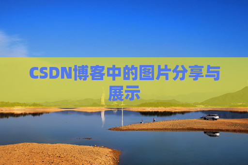 CSDN博客中的图片分享与展示